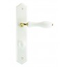 Ensemble/Plaque BOIS Blanc FSC Conda 195