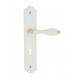 Ensemble/Plaque BOIS blanc FSC Serrure 195