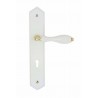Ensemble/Plaque BOIS blanc FSC Serrure 195