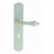 1/2 Ensemble/Plaque POIRE Porcelaine BLANC/Laiton Poli Serrure