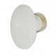 Bouton Simple OVALE porcelaine BLANC/Laiton poli