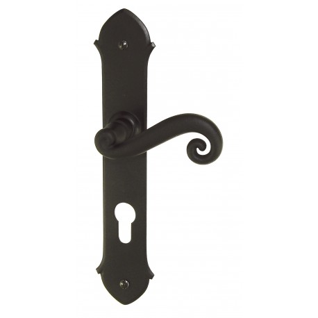 Ensemble/Plaque CHEVERNY Fer Noir Cylindre 195