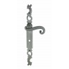 Ensemble/Plaque COQ Fer Gris Conda 195