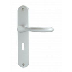 Ensemble/Plaque BRIANCON Aluminium Argent Serrure 195