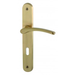 Ensemble/Plaque CLUSES Laiton SATINE Serrure 195