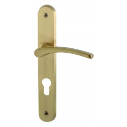 Ensemble/Plaque CLUSES Laiton SATINE Cylindre 195