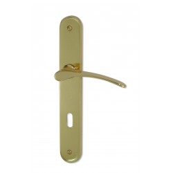 Ensemble/Plaque CLUSES Laiton Poli Serrure 195