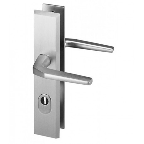 Ensemble/Plaque Béquille Double Cylindre Protégé ALPHA Aluminium Argent 210