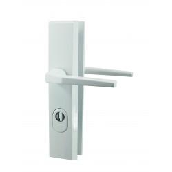 Ensemble/Plaque Béquille Double Cylindre Protégé ALPHA Aluminium BLANC 210