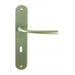 Ensemble/Plaque RUBY Zamak Nickelé Satiné Sans Trou 195