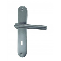 Ensemble/Plaque SIMPLY Aluminium Nickelé Satiné Serrure 195